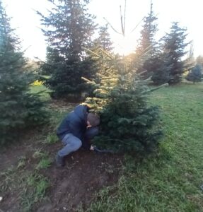 MBZ Vorweihnachtsevent_3